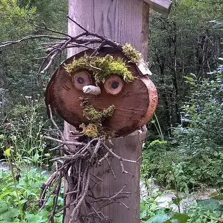 Daire Dreier - Salzburger Land Abtenau