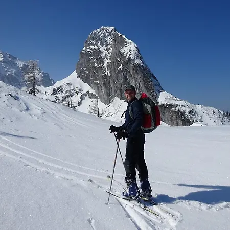 Daire Dreier - Salzburger Land