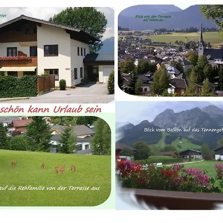 Daire Dreier - Salzburger Land